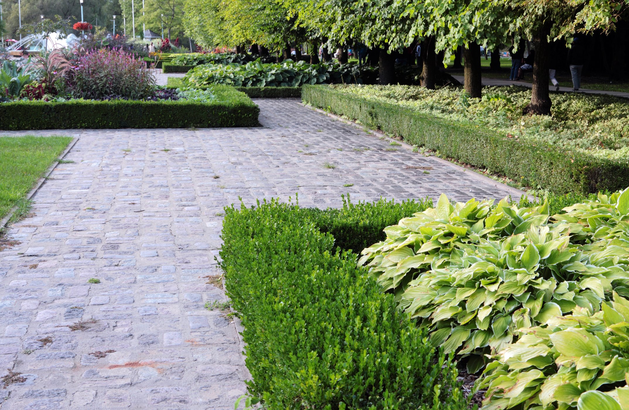 Garden Design