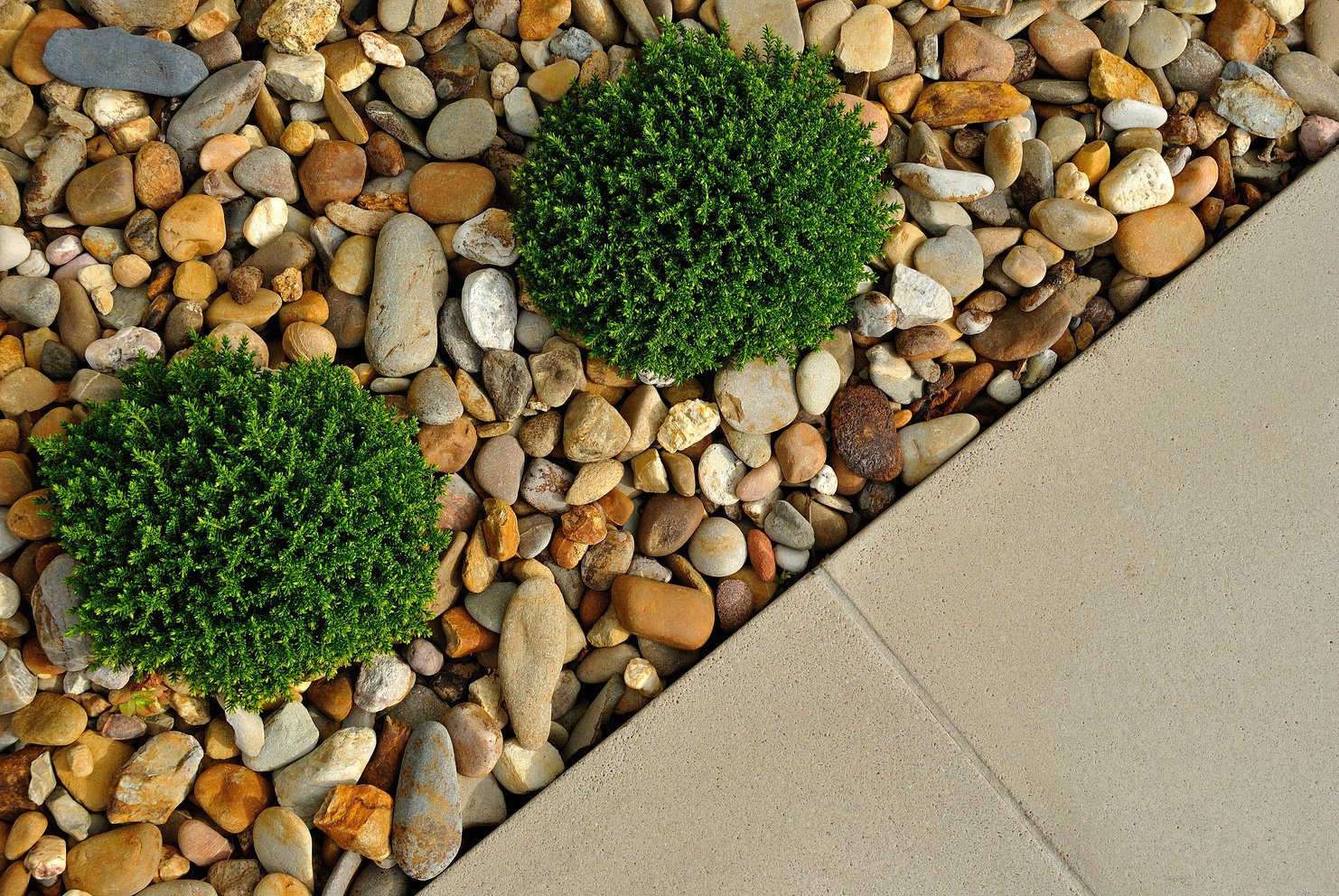 Landscape outdoor garden design
